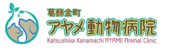 葛飾金町のアヤメ動物病院